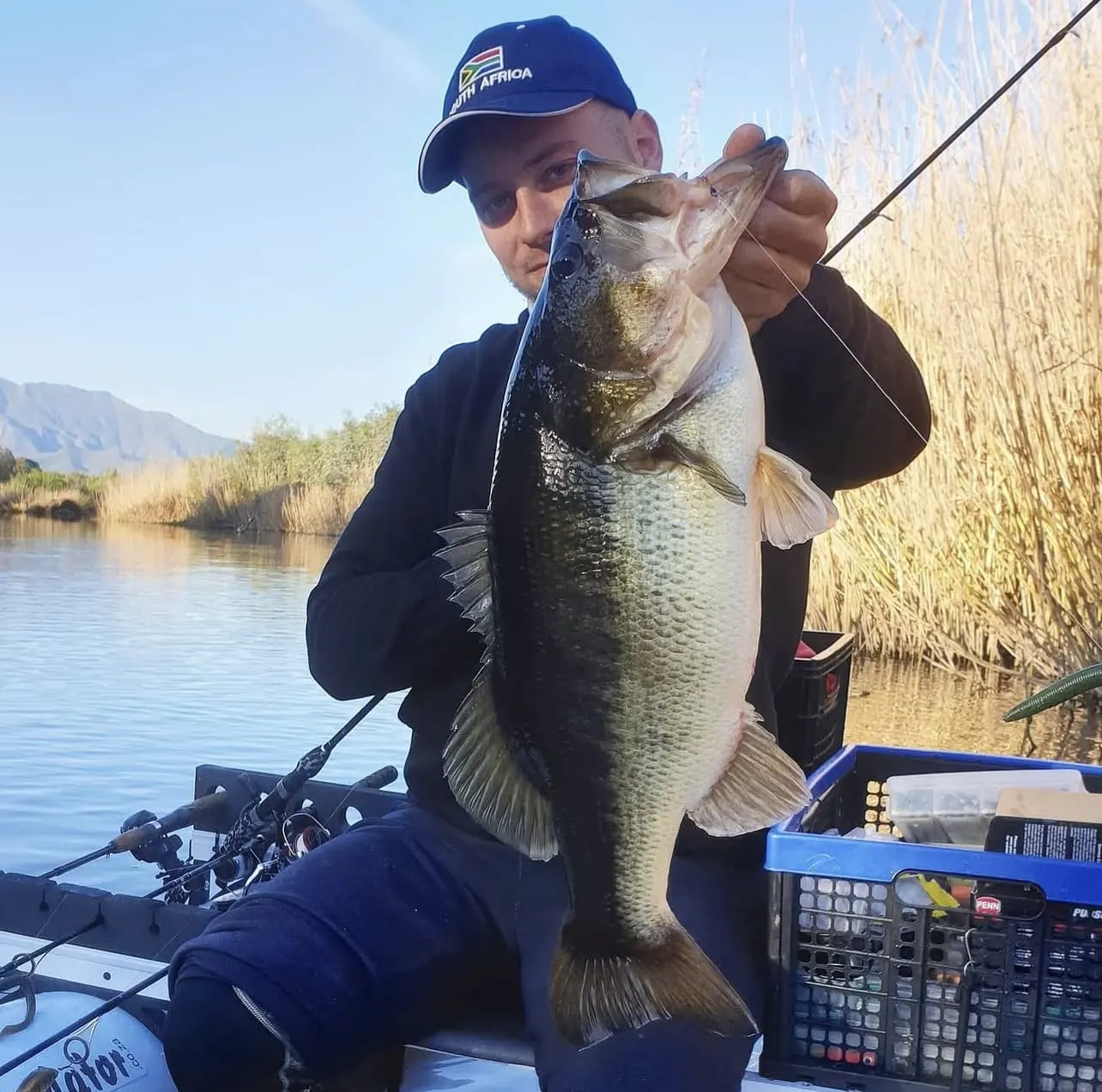Angler wearing a South Africa cap holding a large largemouth bass by the jaw on a kayak, surrounded by golden reeds and mountains in the Western Cape, South Africa.