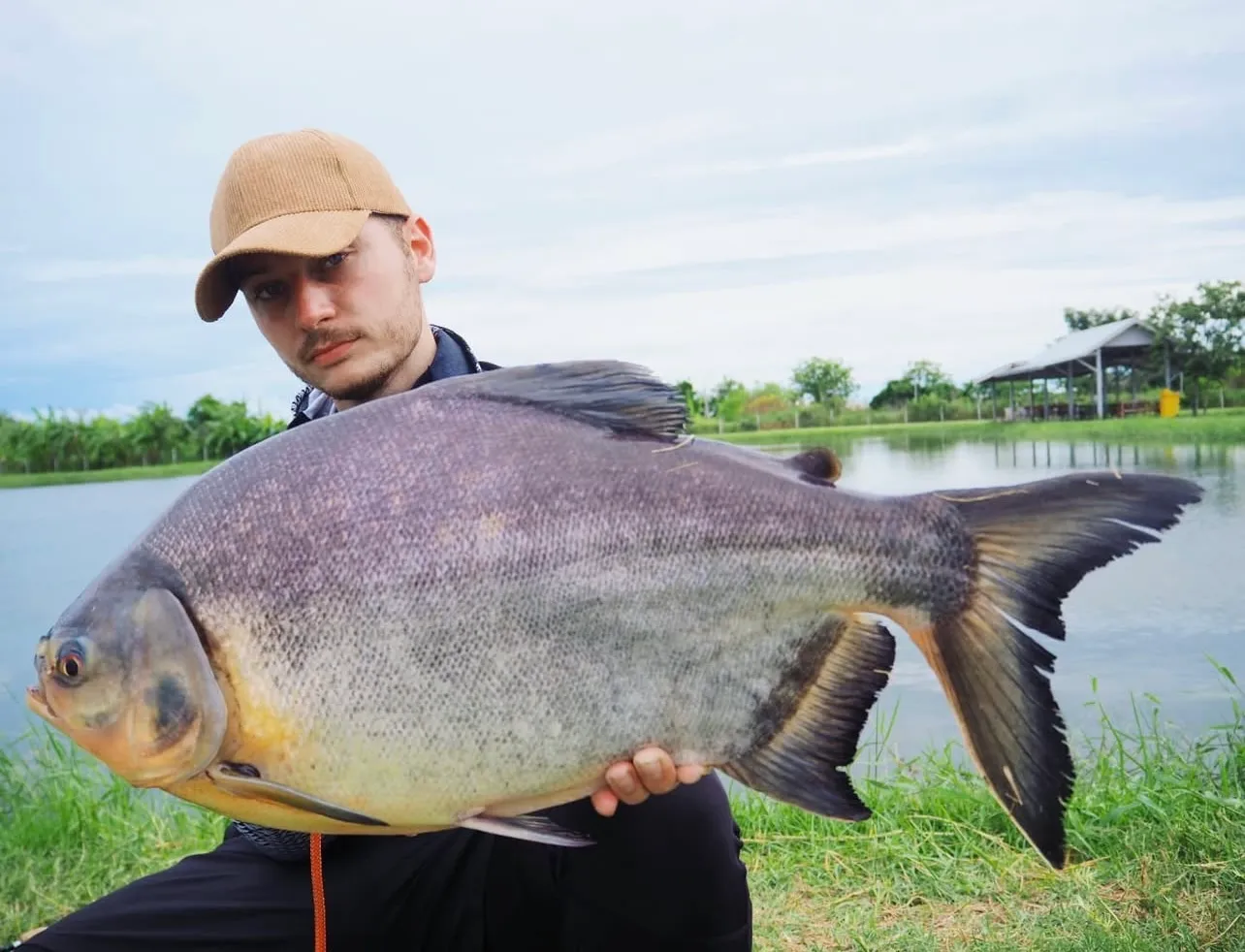 Pacu caught at Pilot 111 Fishing Pond.