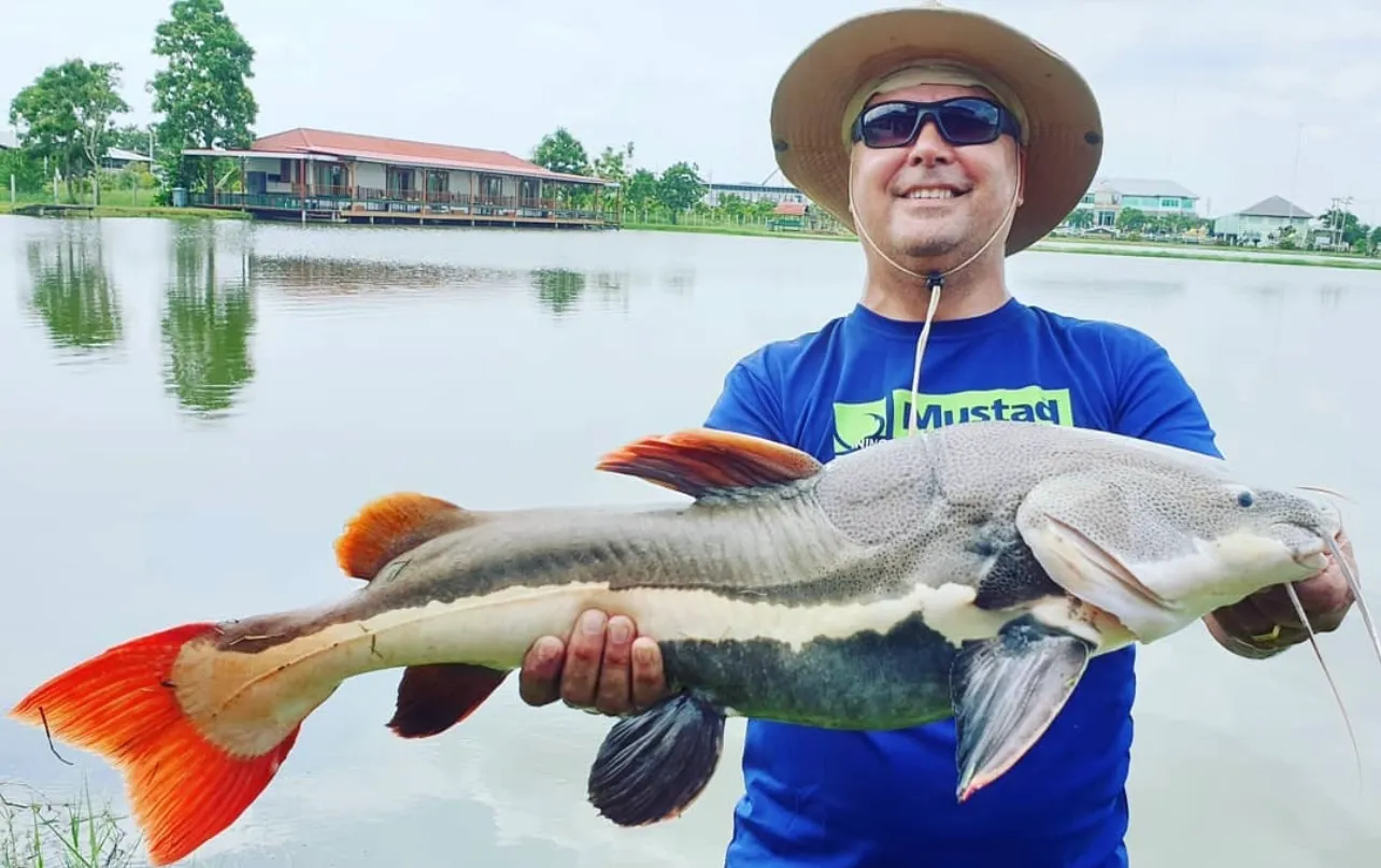 Redtail catfish landed at Pilot 111 Fishing Pond.