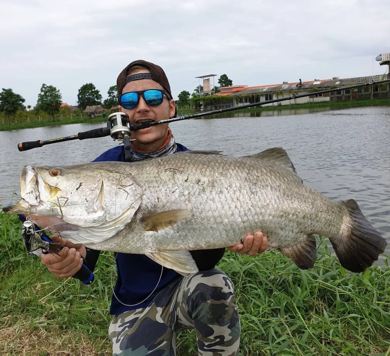 A man with mirrored blue sunglasses and a backwards cap holds a massive silver barramundi while gripping a baitcasting rod in his teeth. A fishing lure hangs from the fish's mouth. Green grass and a lake are in the background.