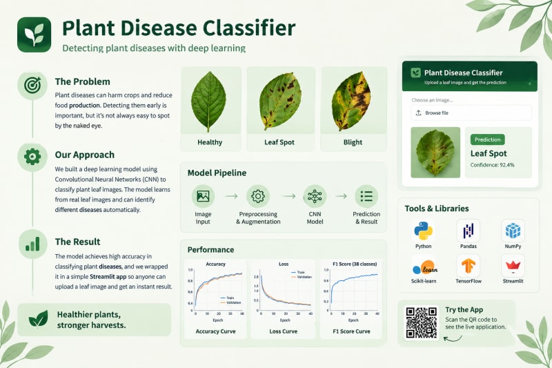  🌿 Plant Disease Classification