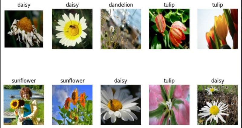 Flowers Recognition: Image Classification with Transfer Learning