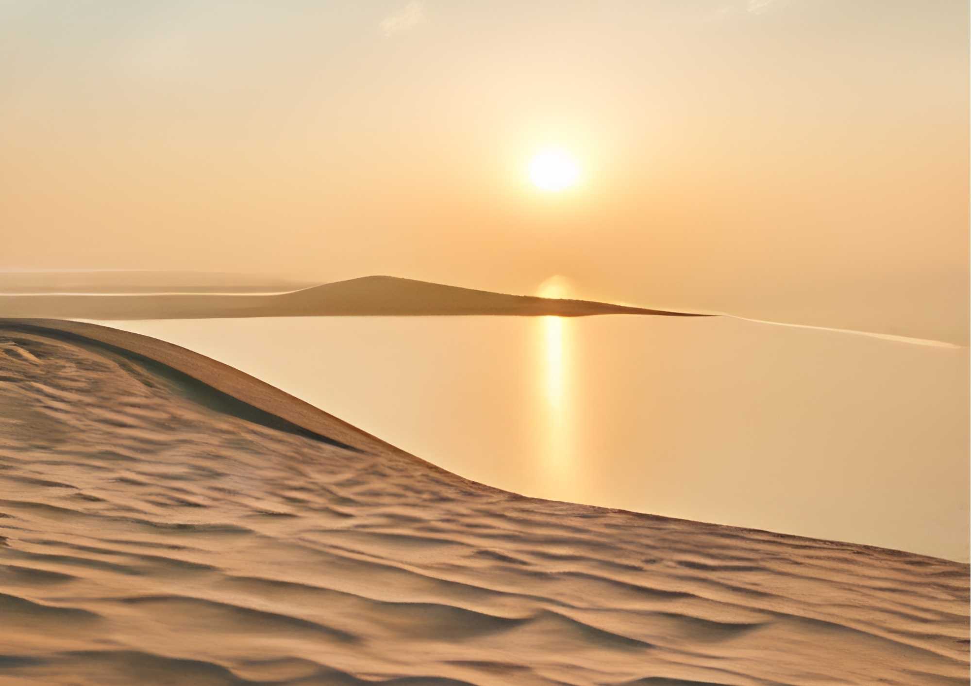 Desert Safari photo 2