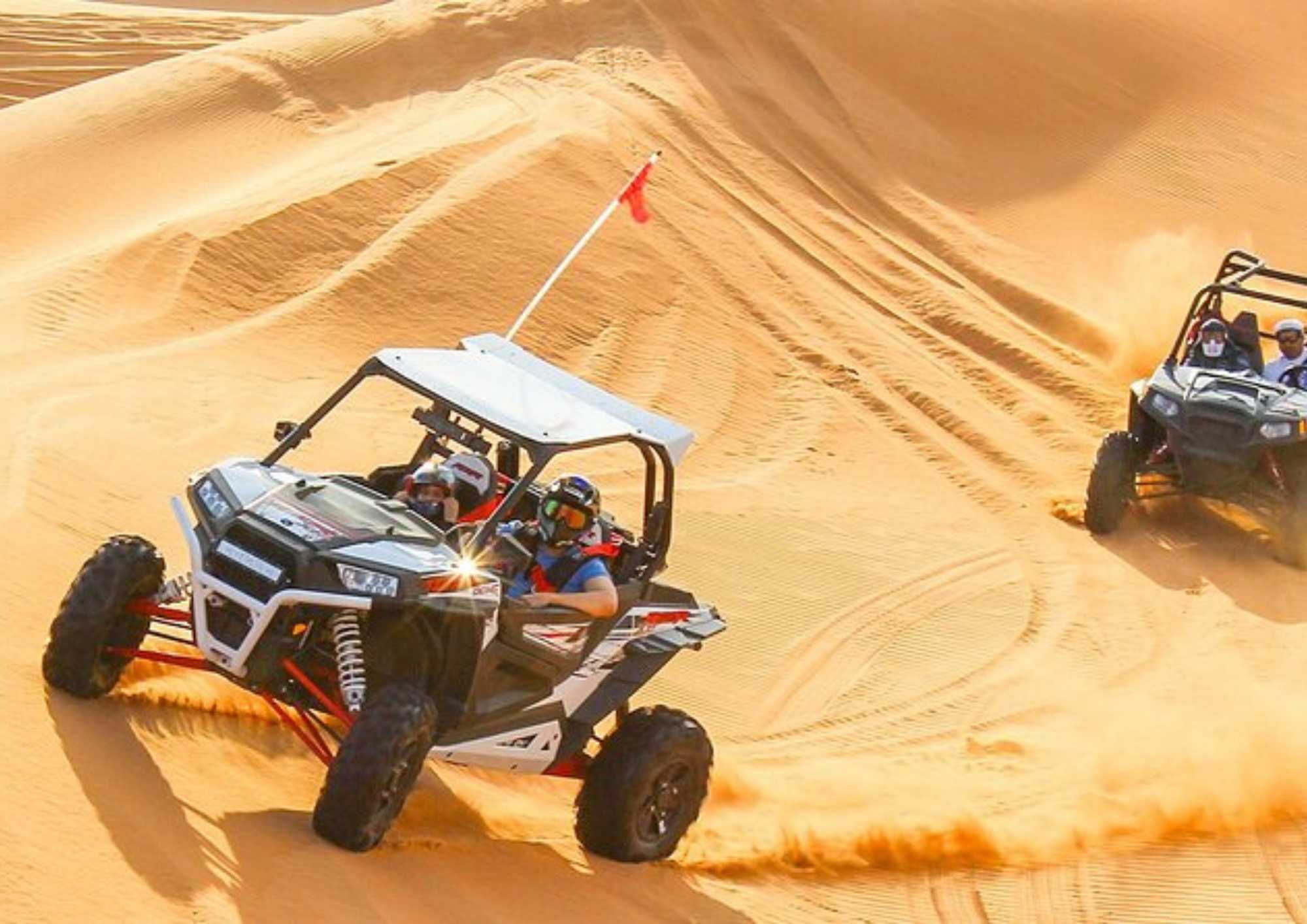 Desert Safari photo 8