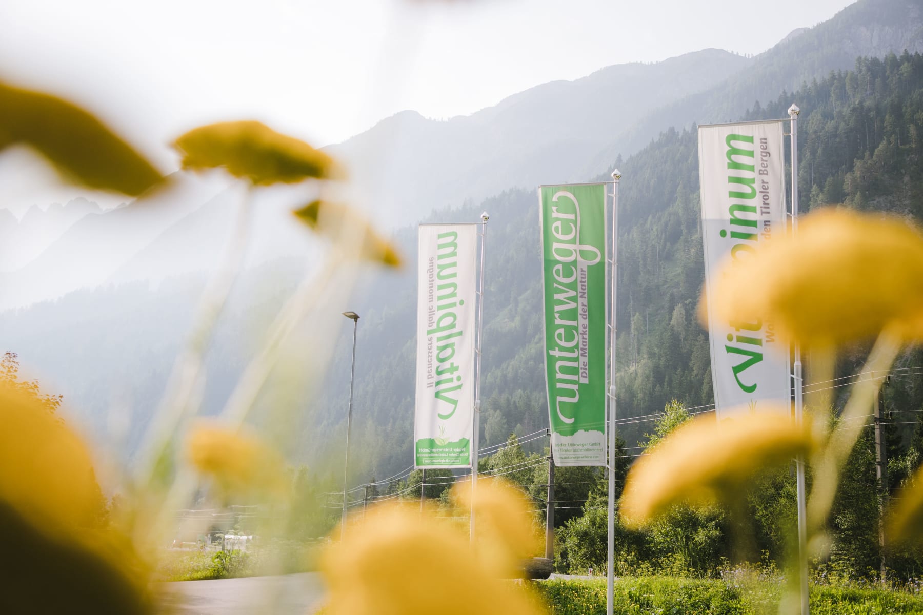 Fahnen mit der Aufschrift Vitalpinum