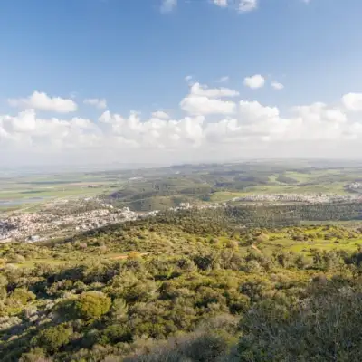 פורום קריירה בכירה | תפקידי ניהול / 20K+ | אזור השפלה | הזדמנויות וצמיחה מקצועית בהובלת דנה פרנקל