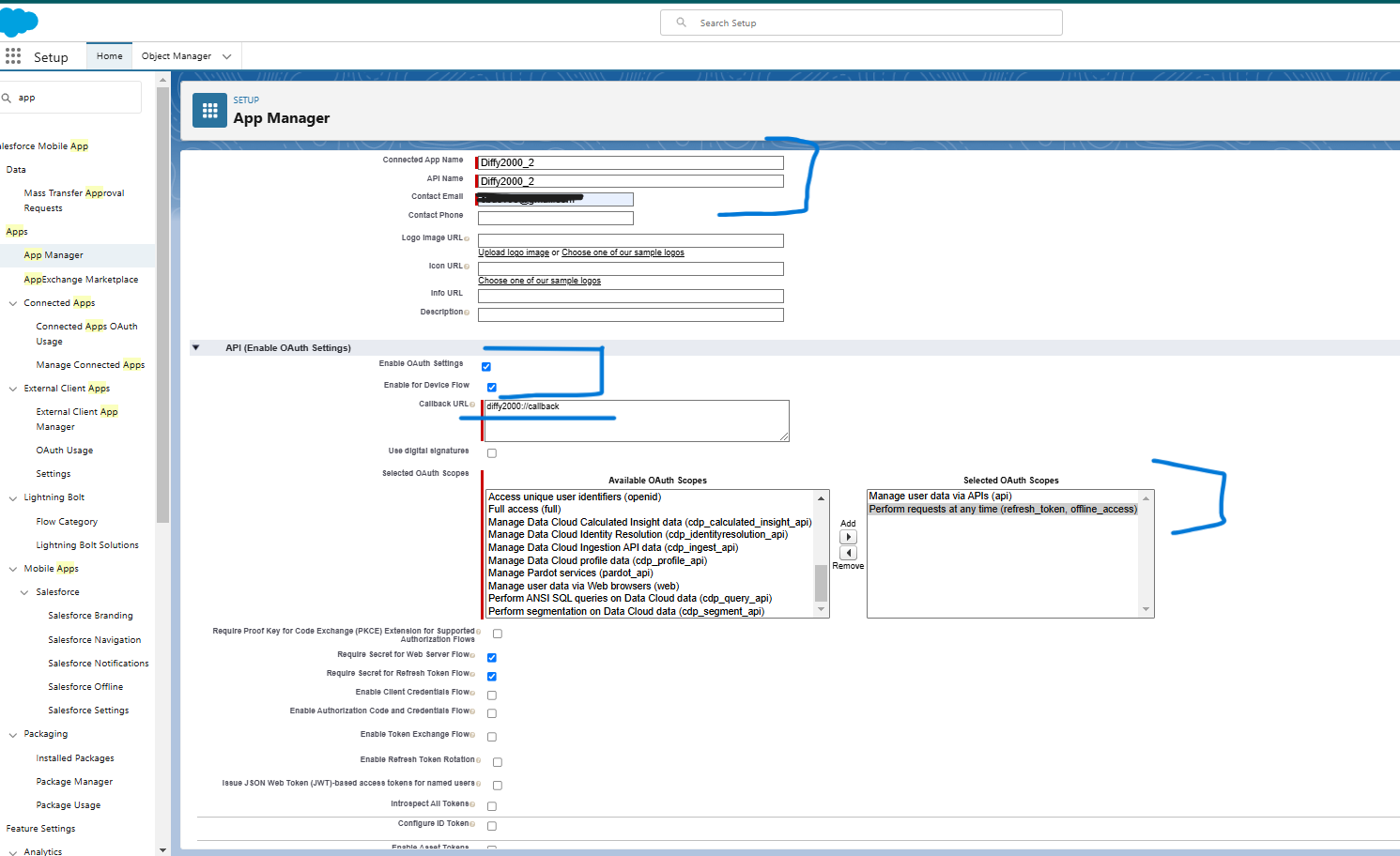 connectedApp_set_apiname_contactemail_enable_Oauthsettings_callbackurl