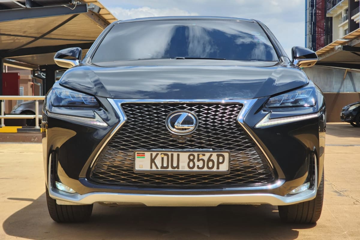 2014 Lexus NX200T — photo 1