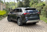 2019 Toyota RAV4 Adventure thumbnail 7