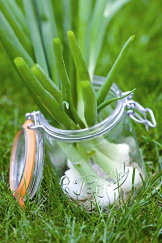 Vue 2 de Le Parfait Lps Terrine