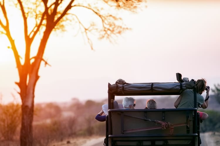 Abendsafari durch den Krüger Nationalpark thumbnail