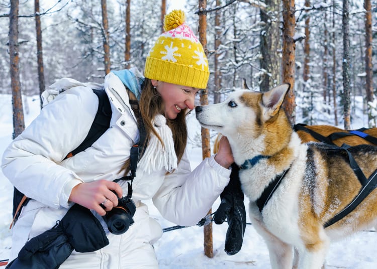 Spaziergang mit Huskys & Besuch einer Huskyfarm thumbnail