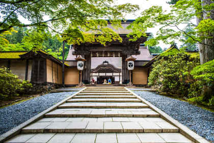 Japans zuiden: van waanzinnige Fuji tot wilde vuurlanden afbeelding