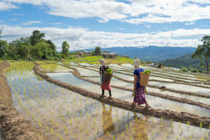 Avontuurlijk Thailand: van bergstammen tot eilandhoppen afbeelding