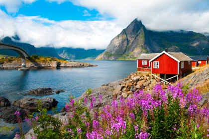 Avontuur Lofoten: roadtrip naar rode paalwoningen afbeelding
