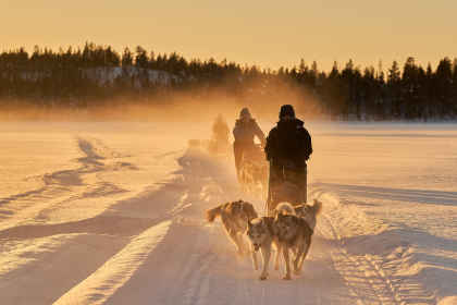 Scandic roads: husky adventure & polar lights afbeelding
