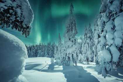 Finland signature: in een iglo onder het noorderlicht afbeelding