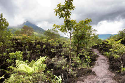 Costa Rica roadtrip: jungle nights & pura vida! afbeelding