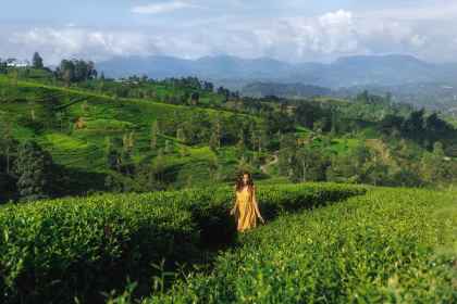 Sri Lanka & Malediven: highland highs meet beach paradise afbeelding