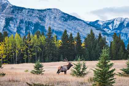 Canada bucketlist: city sights, roadtrip vibes & Niagara Falls afbeelding