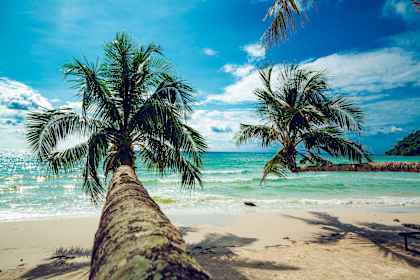 Thailand eilandhoppen: too Koh Kood to be true! afbeelding