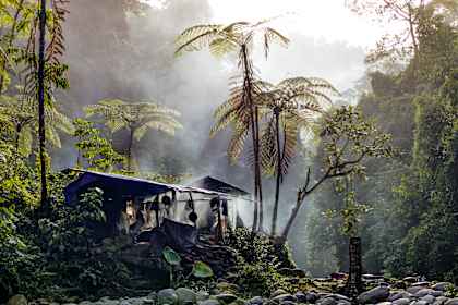 Sumatra, Maleisië & Singapore: chillen met orang-oetans