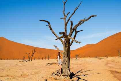 Namibië roadtrip: tussen duinen & dierenrijk