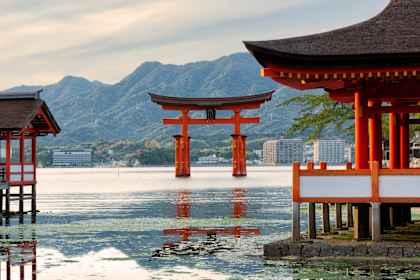 Ontdek Japan: Tokiotoren, rode torii & samoerai afbeelding