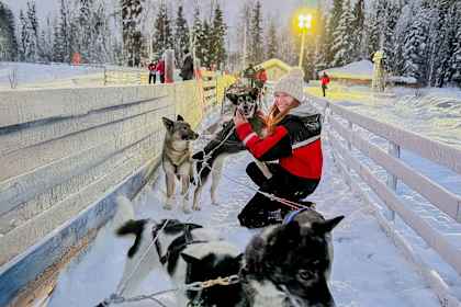 Fins Lapland: besneeuwde bossen & husky-avonturen afbeelding