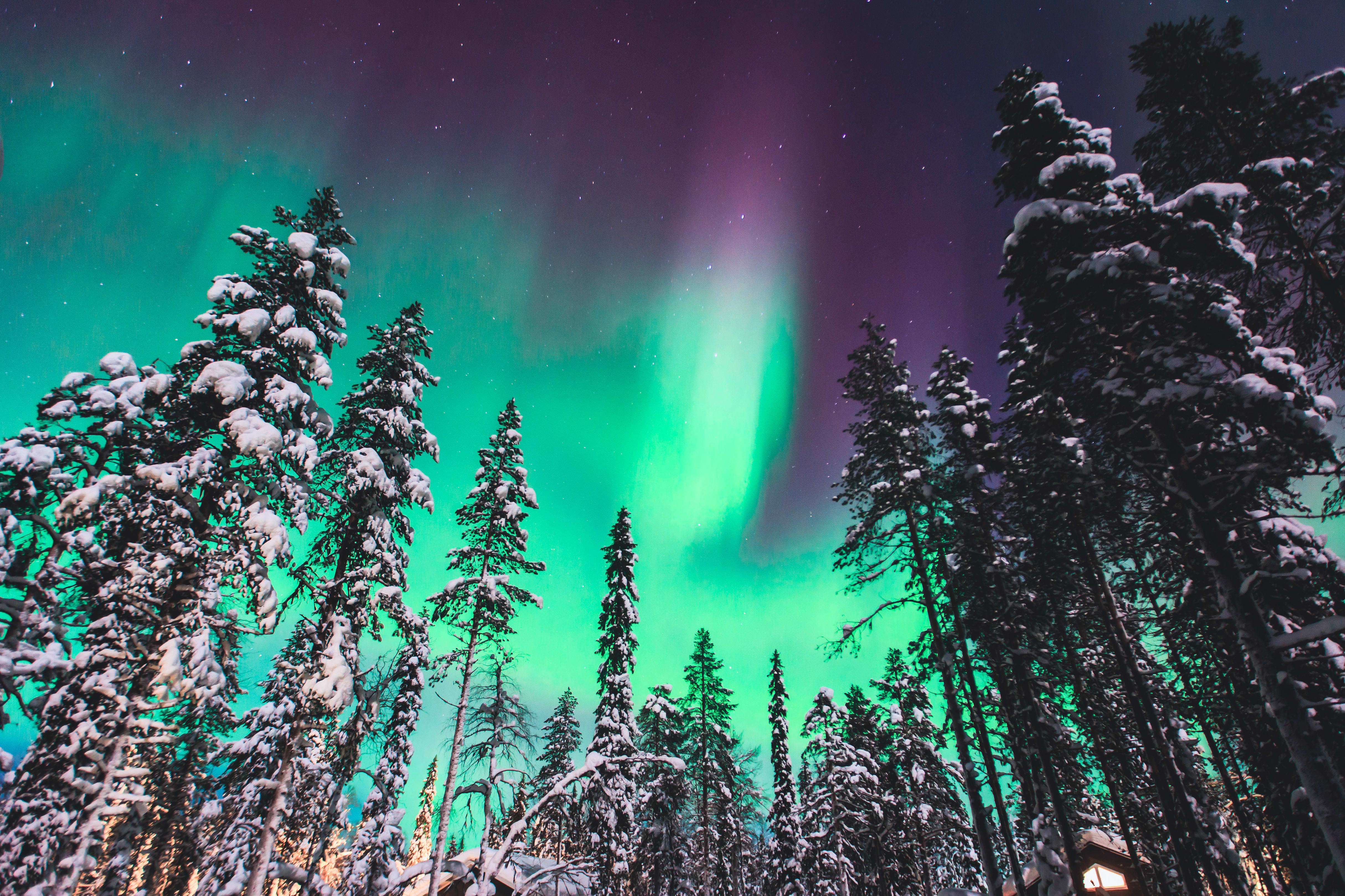 Schweden & Norwegen: Arktische Träume am Polarkreis