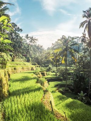 Ubud