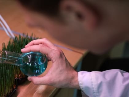 Ставропольские учёные создают новые антидоты для пестицидов