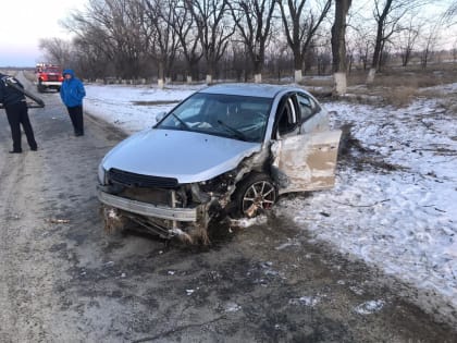 Ставропольская автомобилистка попыталась спасти собаку и врезалась в дерево