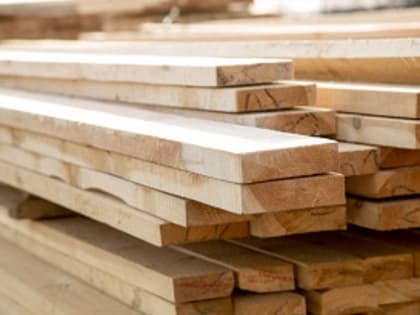 Индивидуальный предприниматель из Урупского района Карачаево-Черкессии заготавливал древесину и пиломатериалы без карантинных документов