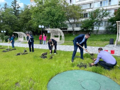 Аллею любви в Железноводске украсили 20 новыми деревьями