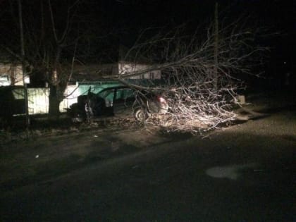 Пьяный подросток на ВАЗе врезался в дерево в Пятигорске