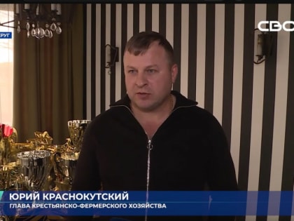 В селе Овощи выращивают жеребцов победителей