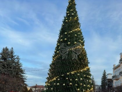 Семеро атлетов, пробежав 42 км, побывали и сфотографировались поочередно у трех главных новогодних ёлок городов КМВ!