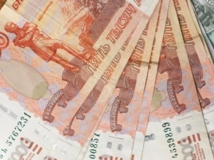 Жителя Новоселицкого округа подозревают в краже металлического ворот