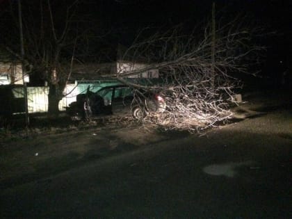 В Пятигорске отечественная легковушка врезалась в дерево