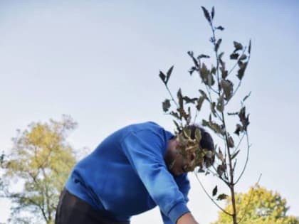 Аллея Первых появилась в Пятигорске