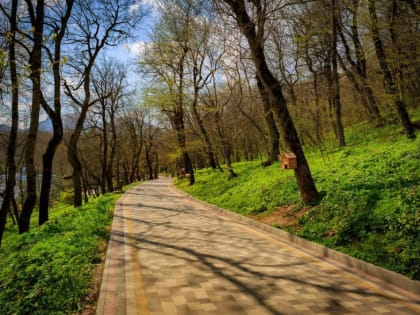 Именем Льва Толстого назовут терренкур в Железноводске