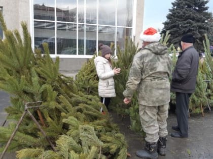 Состоялась предновогодняя праздничная выставка-ярмарка «Рождественский базар»