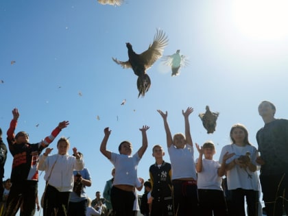 В Туркменском районе выпустили в природную среду фазанов