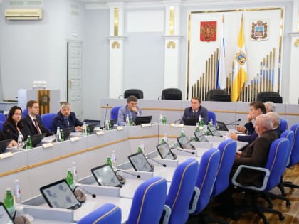 Краевые депутаты оценили эффективность механизма Единого налогового счета