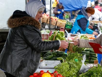 Почти полтысячи ярмарочных площадок работают на Ставрополье