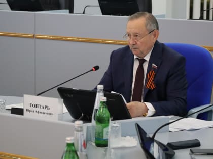 Меры по обеспечению безопасности детей на дорогах и водных объектах в летний период рассмотрены в краевой Думе