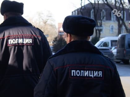 Ставропольская полиция опровергла информацию о штрафе за разбитое уткой автомобильное стекло