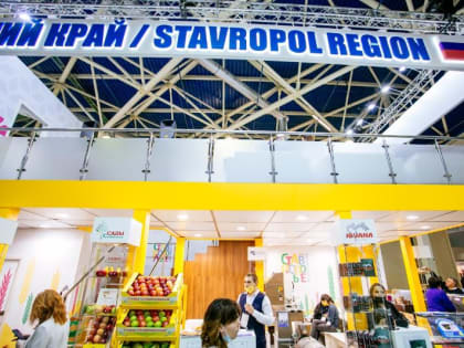 Власти Ставрополья планируют потратить почти 9 миллионов рублей на пятидневную выставку в Москве