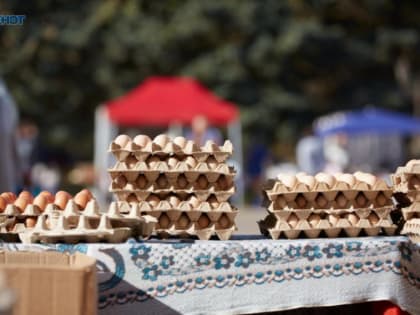 Ставропольские производители яиц стали фигурантами антимонопольного дела за повышение цен